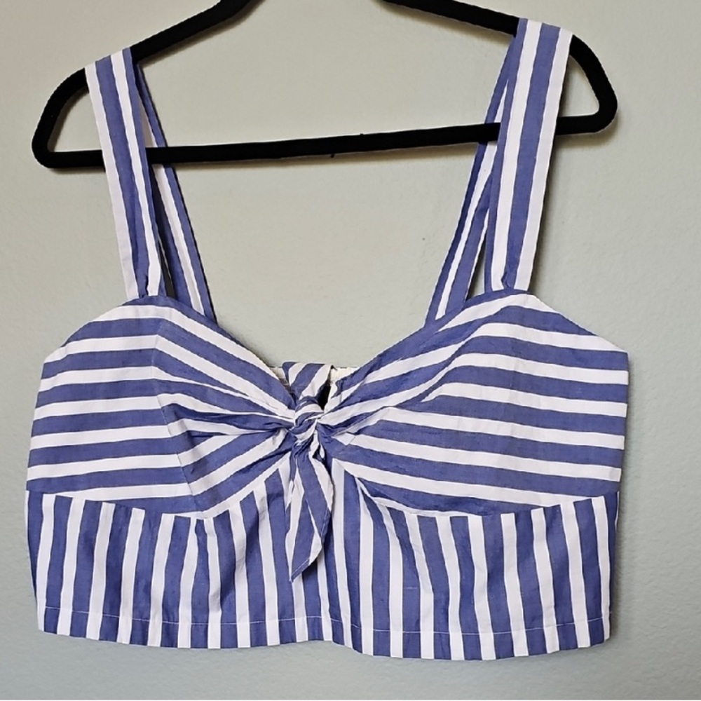 J. Crew Blue and White Striped Crop Top